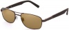 Bolle Avenue Sunglasses