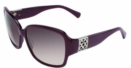 Coach sunglasses sales s2025