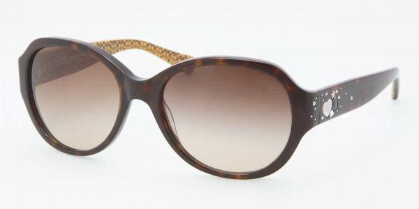 Summer at Just Sunnies | Buy sunglasses online, Trending sunglasses, Buy  sunglasses