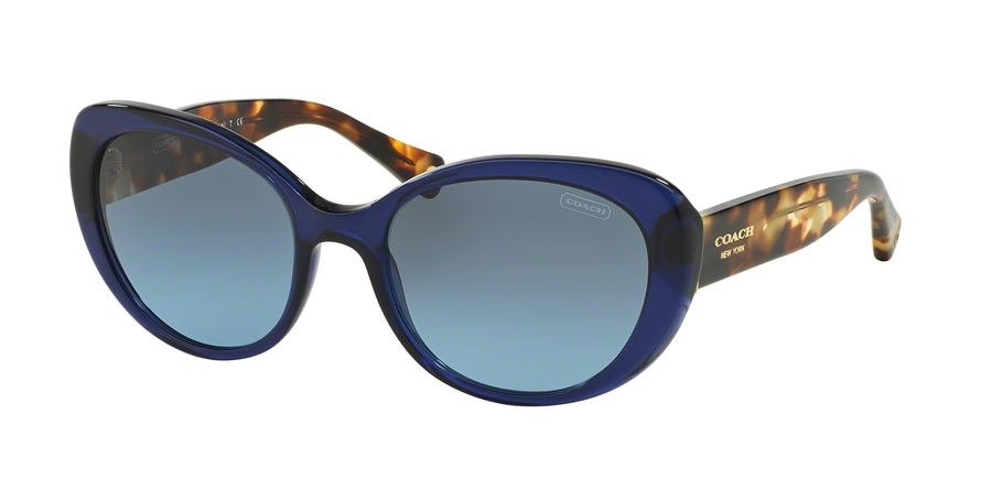 coach alexa sunglasses