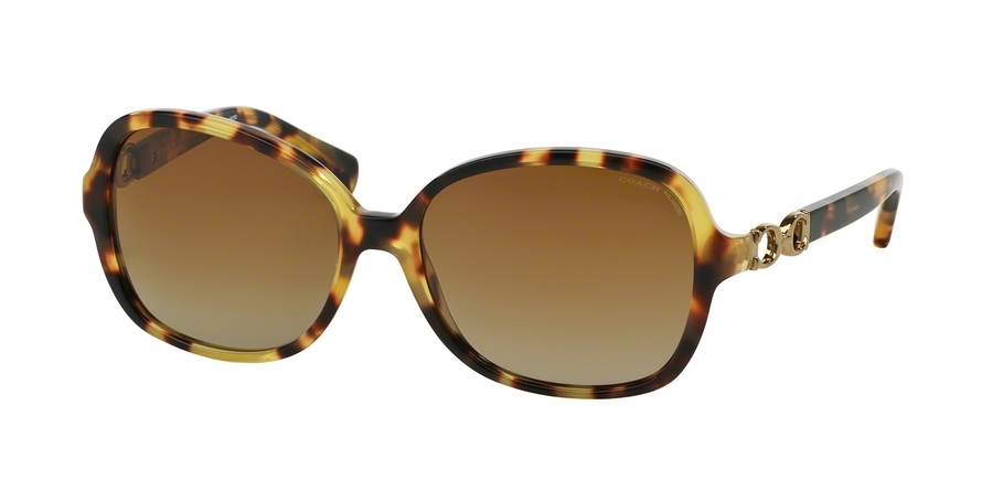 Coach store cole sunglasses