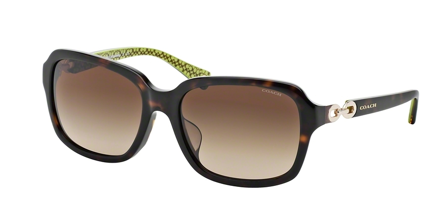 Coach ashley sales sunglasses