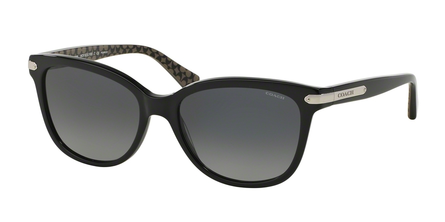 Coach sunglasses best sale hc8132 l109